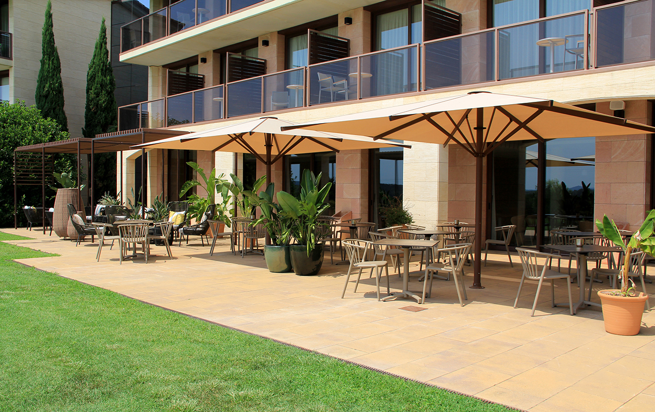 mas sola 6 woody fall 1