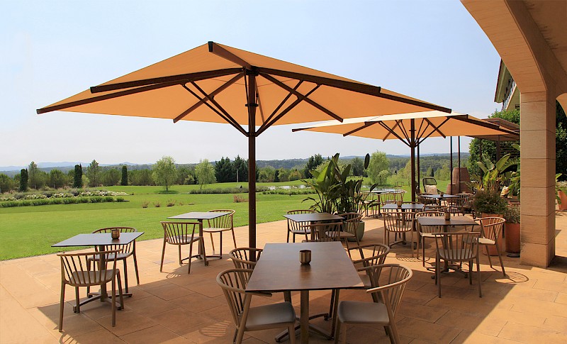 mas sola 7 woody fall 1