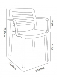 Silla Con Brazos Wind