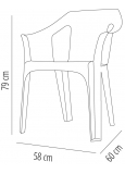 Silla Con Brazos Cool