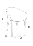 Silla Con Brazos Sky Negra 4x
