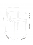 Silla Con Brazos Elba