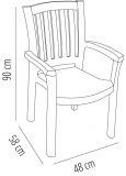Silla Con Brazos Malibu