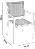 Silla Con Brazos Samoa