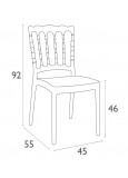 Silla Napoleon Gris Plata P.20