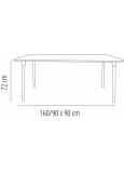Mesa New Flash 160x90