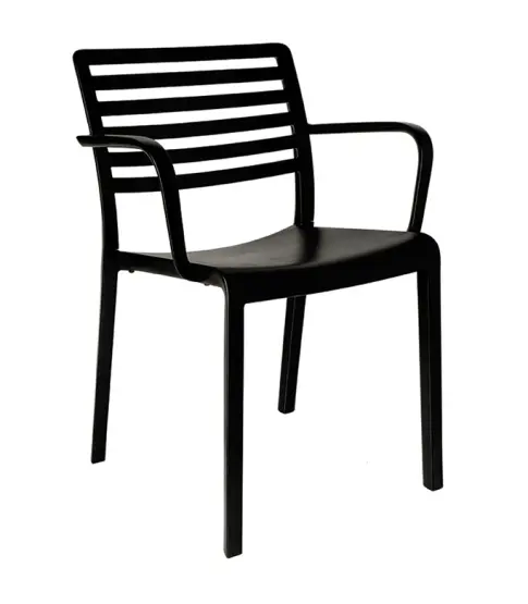 Silla Con Brazos Lama Negra  P20