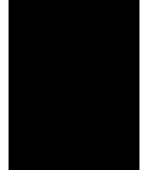 Tablero Fenolico 200x100 Cm Negro Baobab